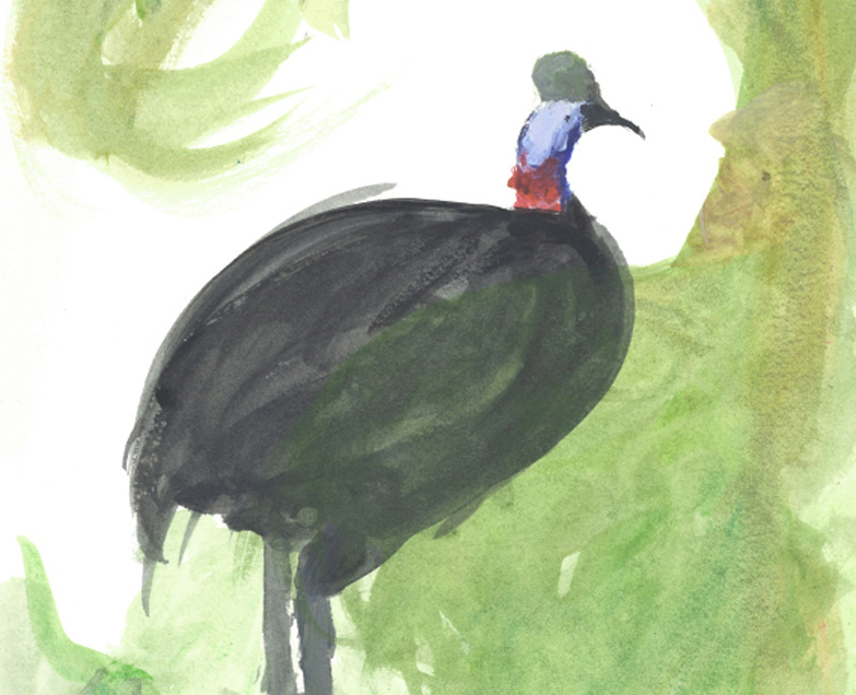 Édition relatant la relation que j'ai créé avec un Casoar à casque du zoo d'Amiens.